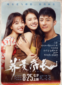 脑子里全是你